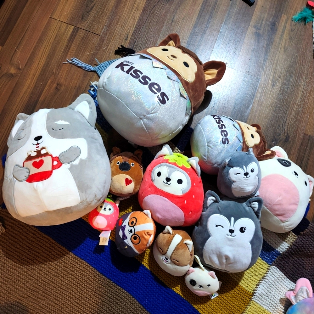 Squishmallow bundle